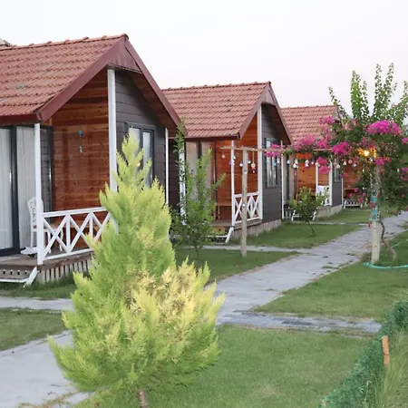 Taş -